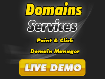 Economical domain name service providers